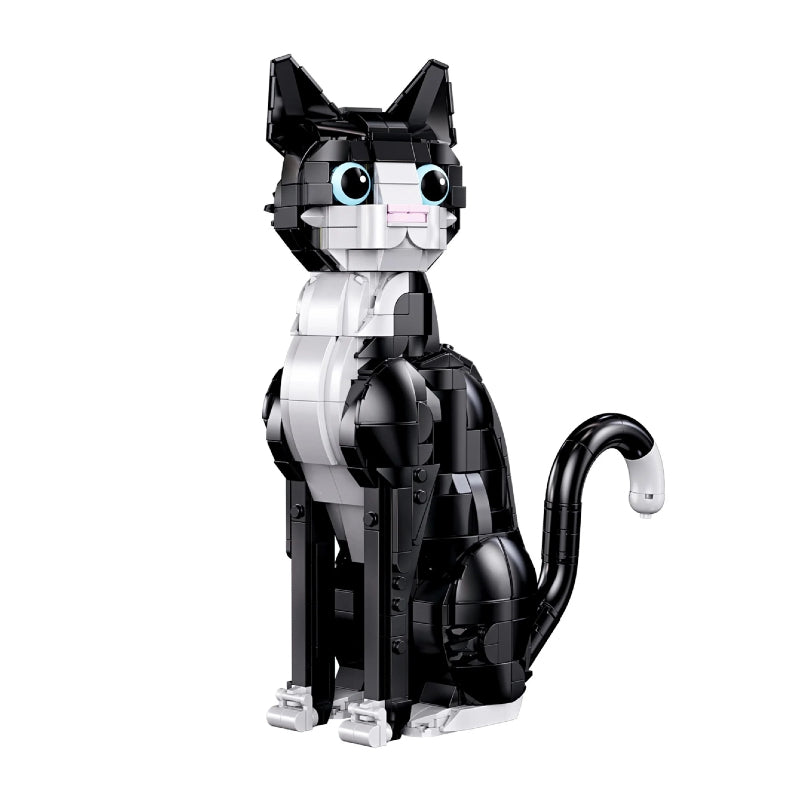 Tuxedo Cat