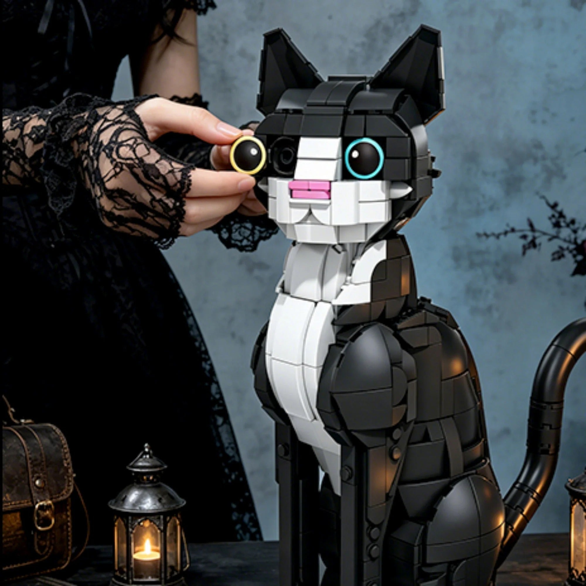 Tuxedo Cat