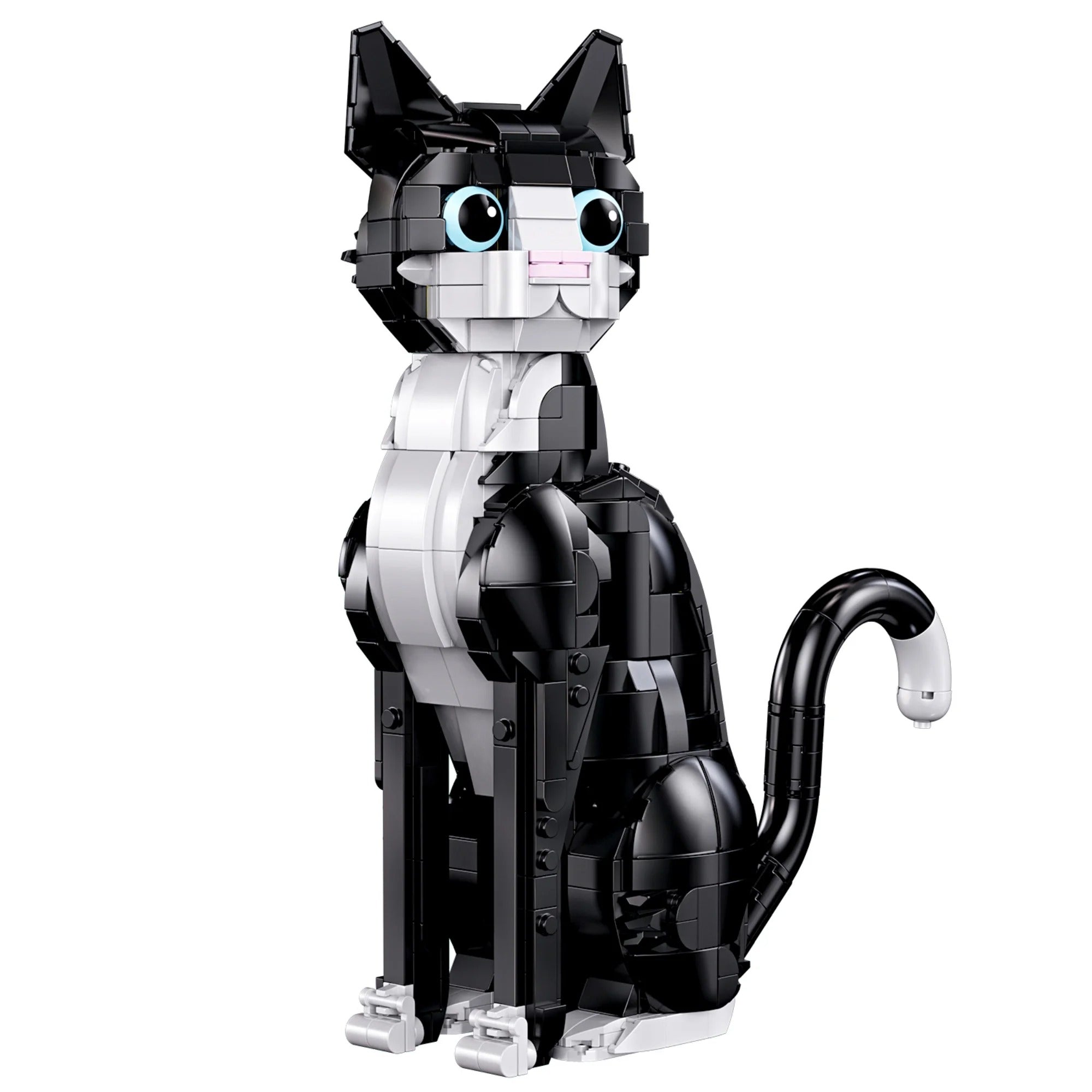 Tuxedo Cat